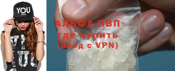 стаф Инта
