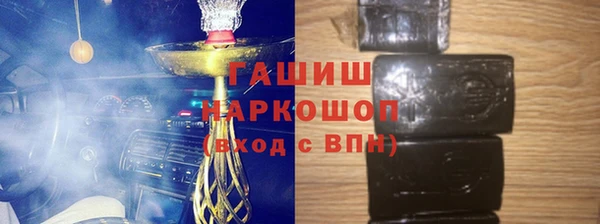 стаф Инта