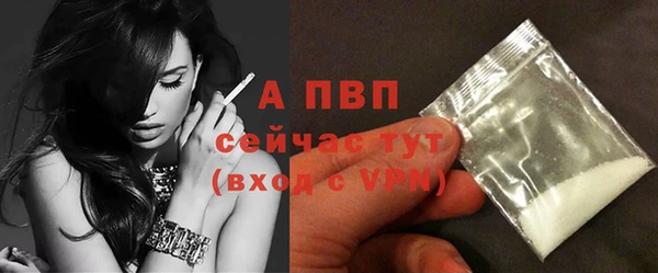 мдпв Инсар