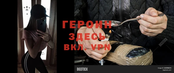 мдпв Инсар