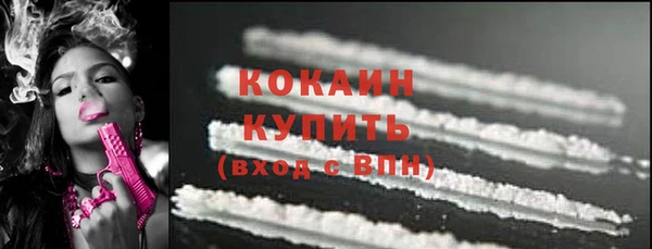 стаф Инта