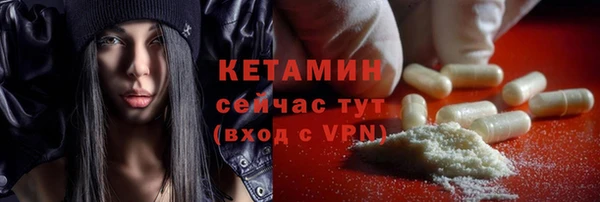 стаф Инта