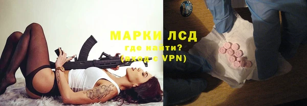 стаф Инта