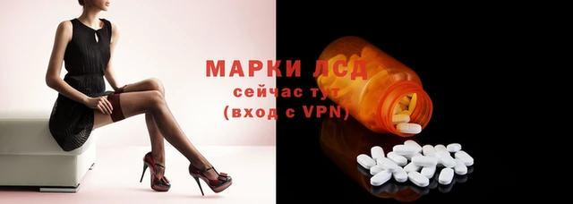 стаф Инта