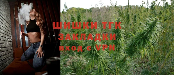 мдпв Инсар