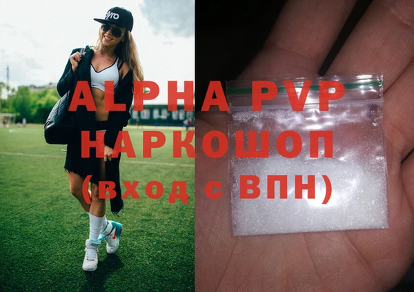 стаф Инта