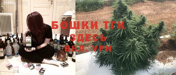 мдпв Инсар