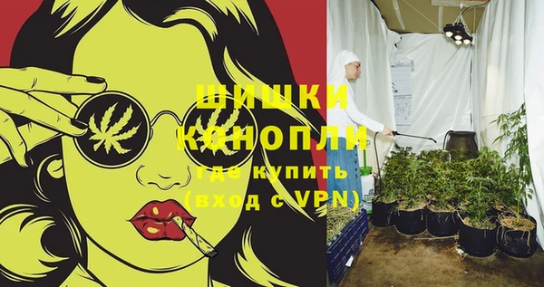 мдпв Инсар