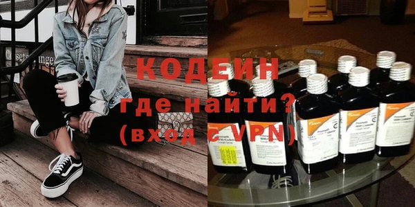 мдпв Инсар