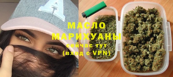 стаф Инта