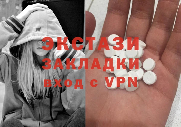 стаф Инта