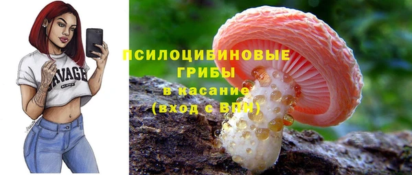 герыч Иннополис