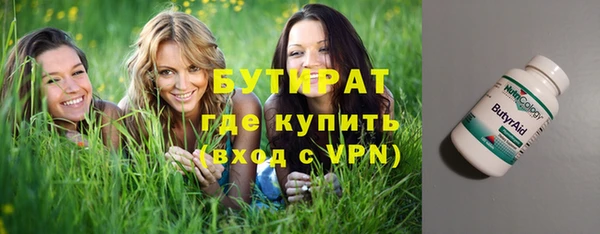 мдпв Инсар