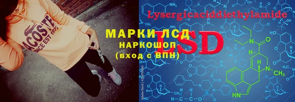 стаф Инта