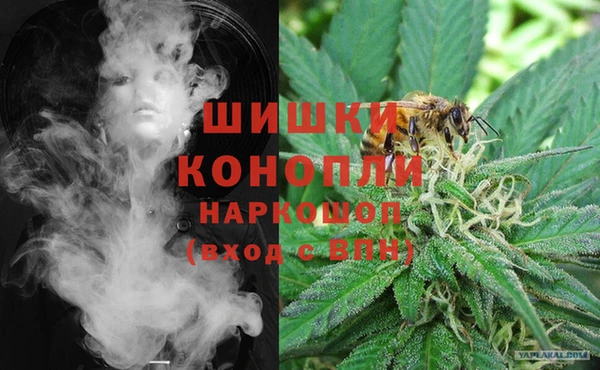 мдпв Инсар