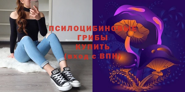 герыч Иннополис